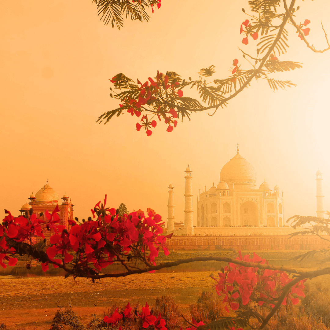 Taj Mahal Tour Package from Chennai